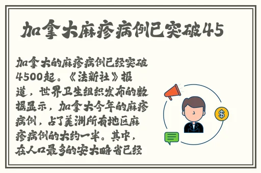 acca少女网课视频